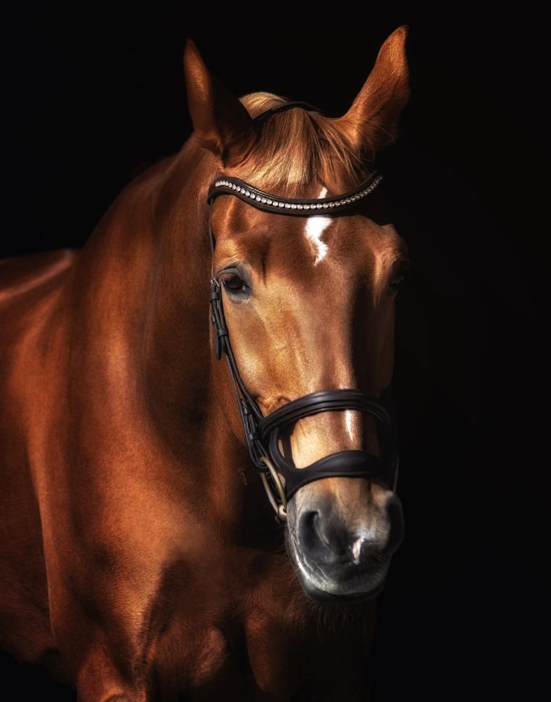 Photograph by Глухарёва Ольга