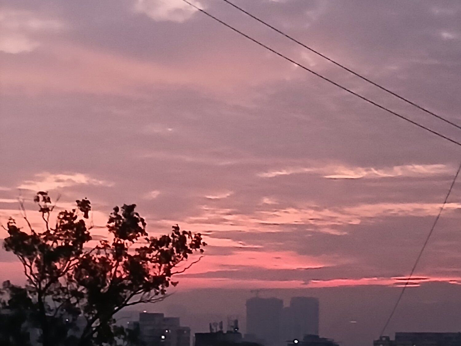 Photo #11168602