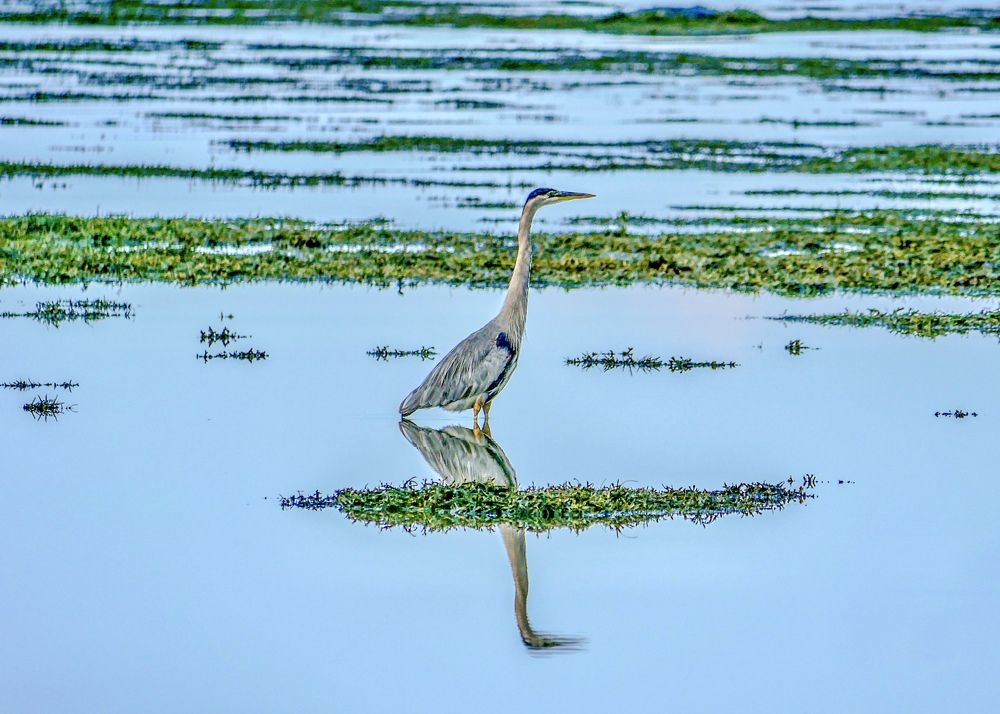 Photograph by Annie Trudel