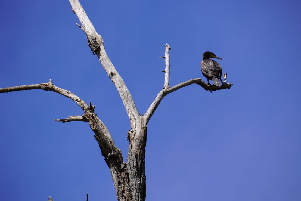 Photograph by Luis Victorio