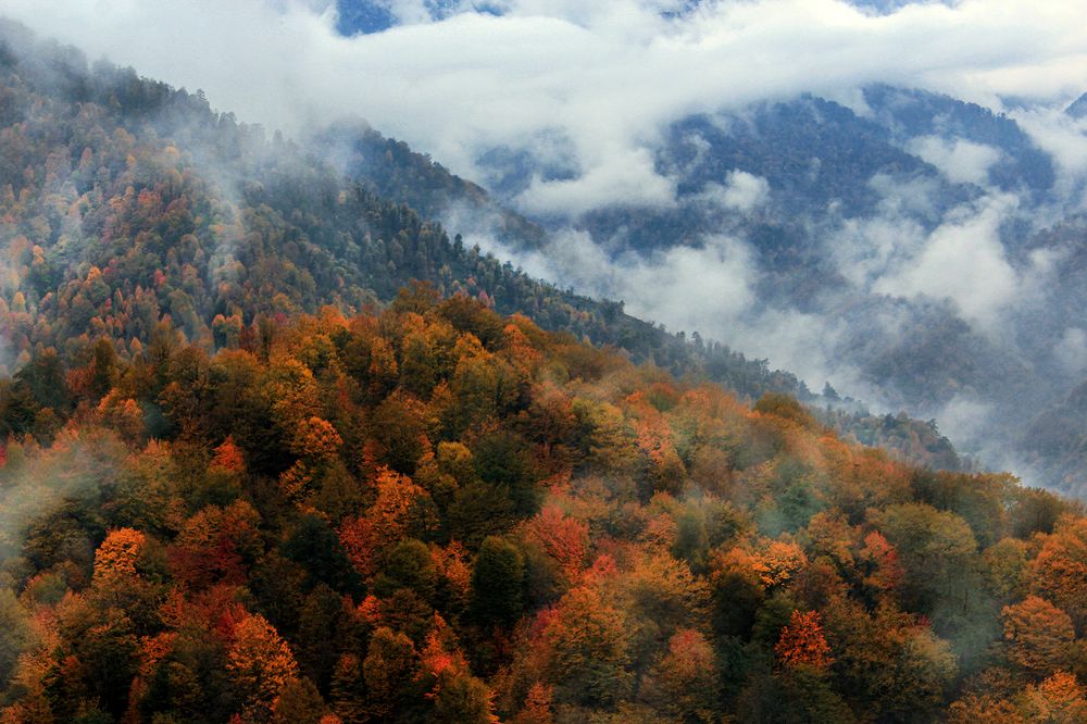 Photograph by hasan sorena jouri