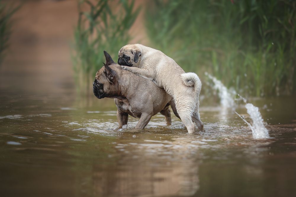 Photograph by Елена Самусенкова