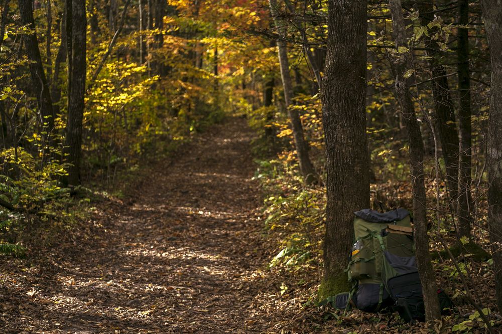 Photograph by ALEKSANDR KUZNETSOV