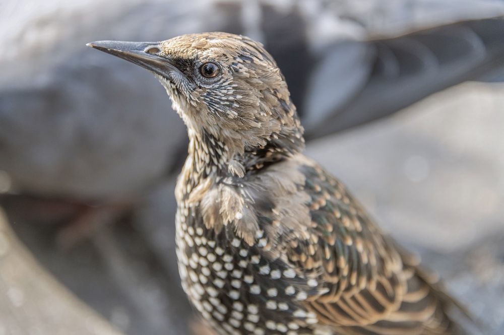 Photograph by Aлена Плясова