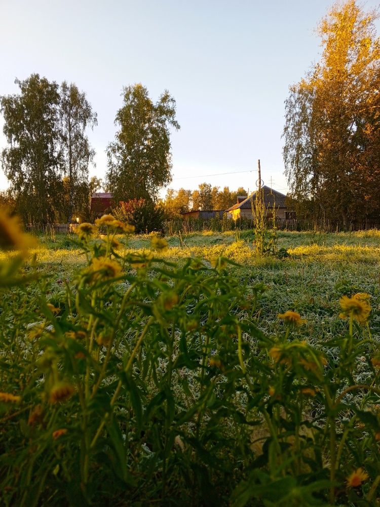 Photo #11168714
