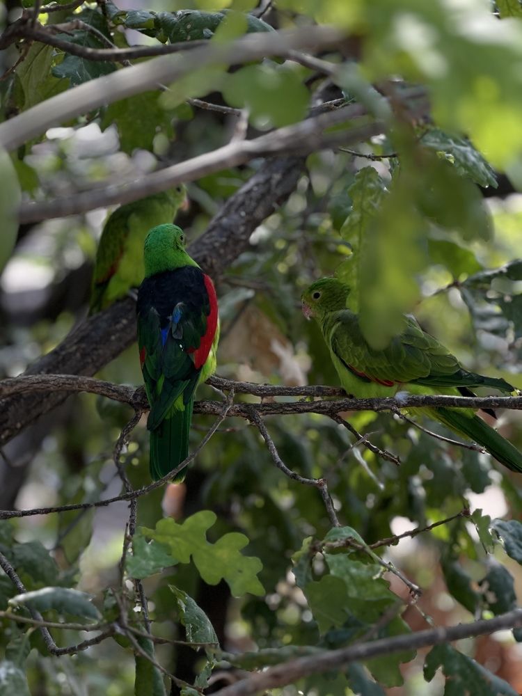 Photograph by Ирина Ц