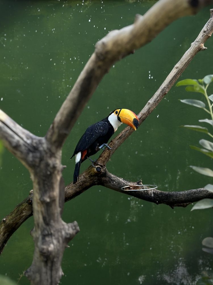 Photograph by Ирина Ц