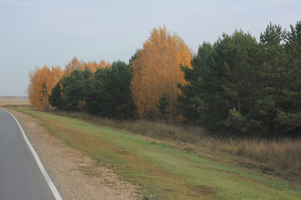 Photograph by Александра Почечуева