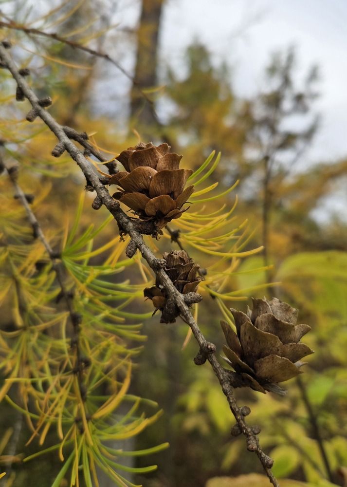 Photograph by Жанна Регор