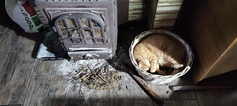 Photo #11168816