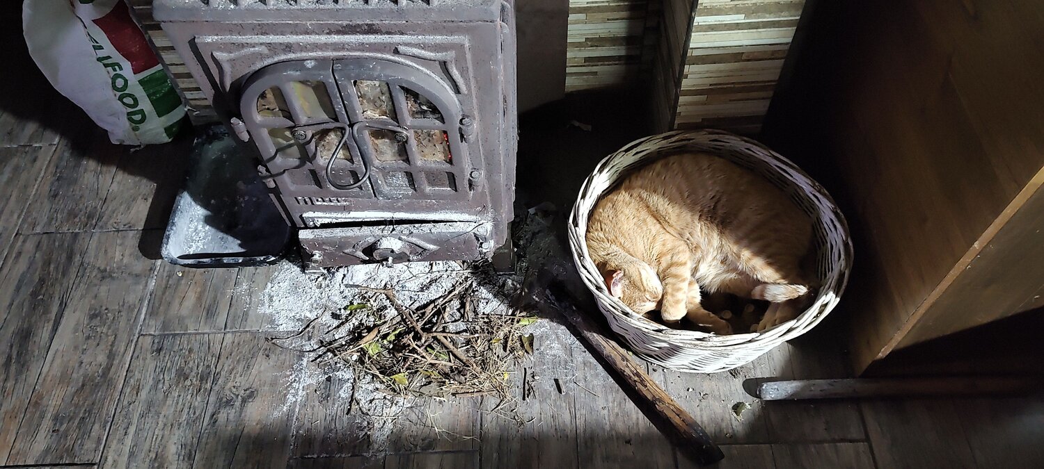 Photo #11168816