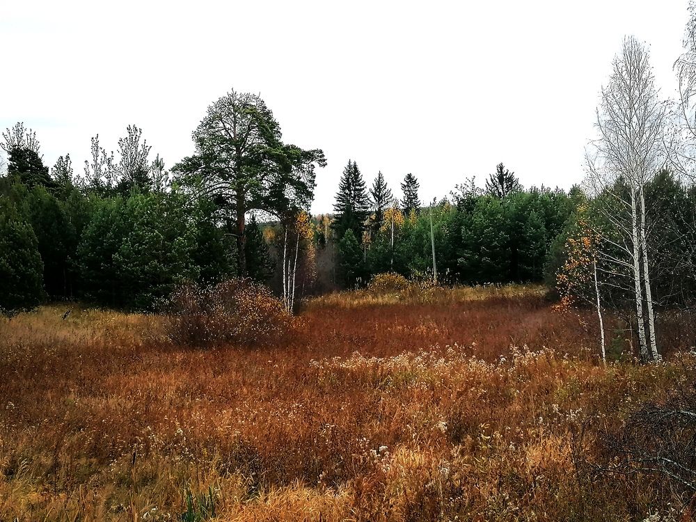 Photograph by Галина Карманова