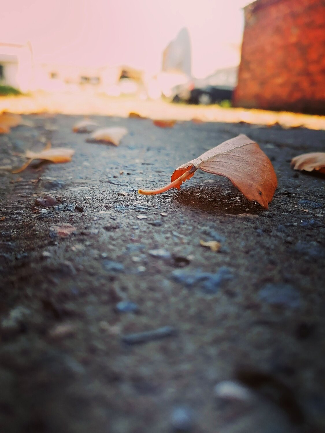 Photo #11168830
