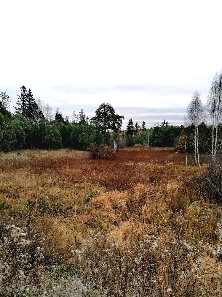 Photograph by Галина Карманова