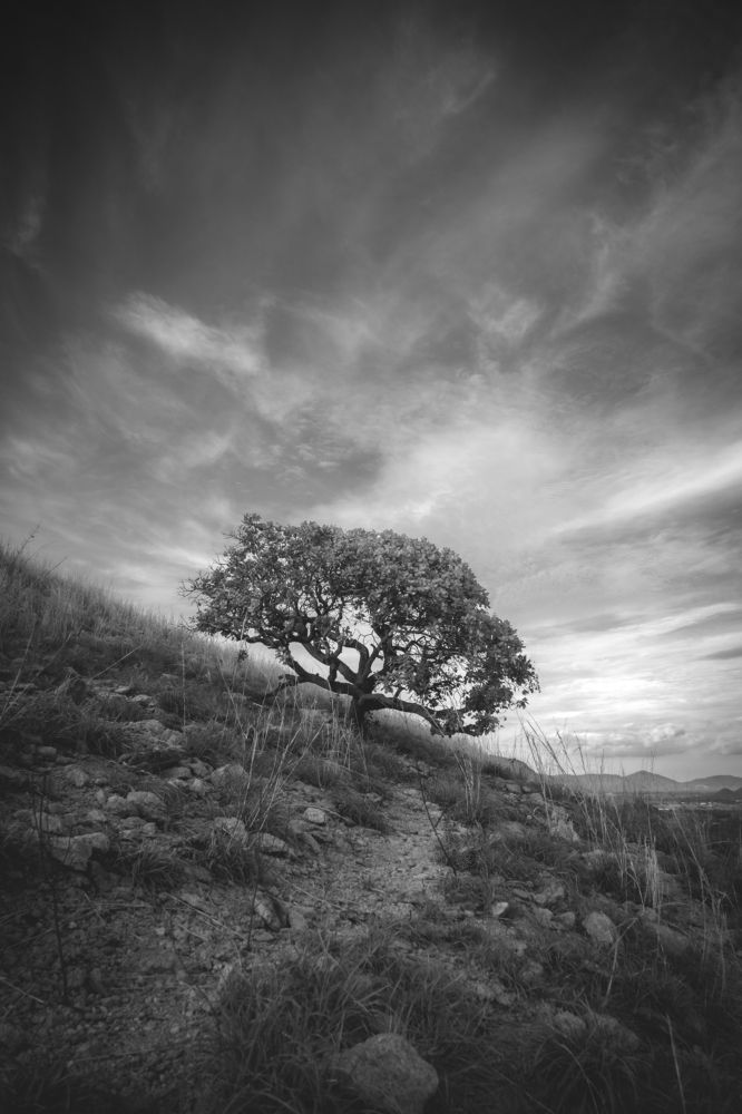 Photograph by Ravada Srikanth