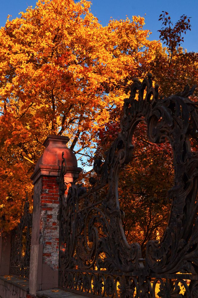 Photograph by Дайана