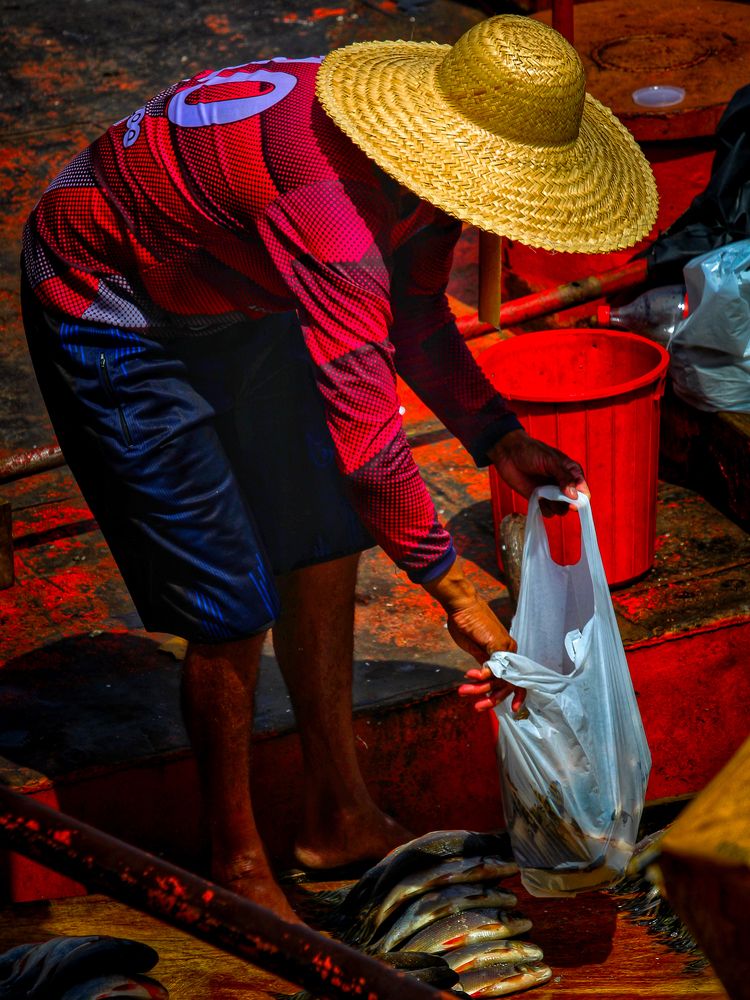 Photograph by Alonso Correia