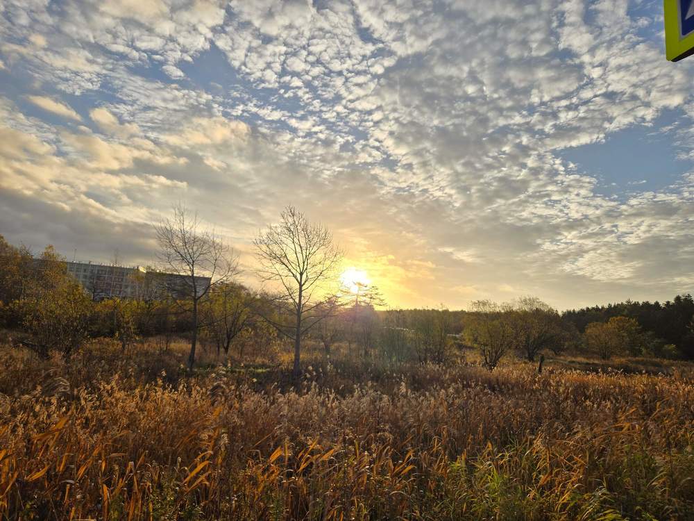 Photograph by Жанна Регор