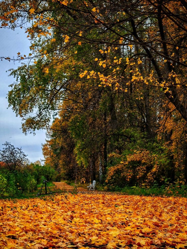 Photograph by Ольга Мажарук