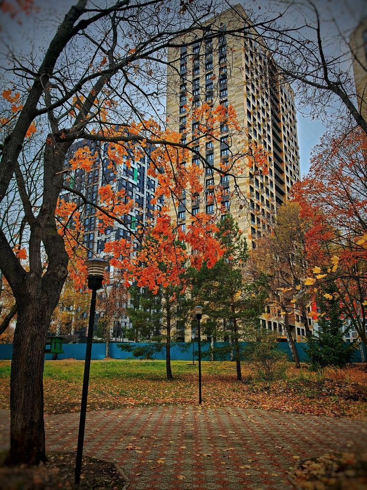 Photograph by Ольга Мажарук