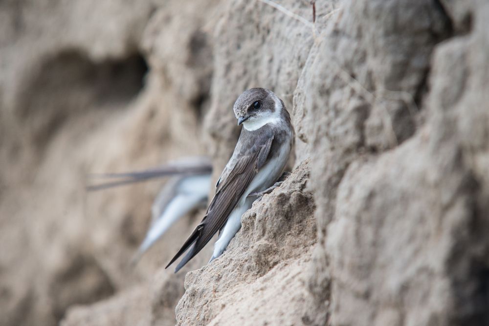 Photograph by Иван Овчинников