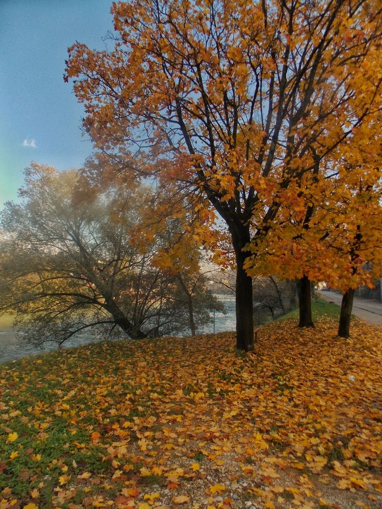 Photograph by Dragoslav M