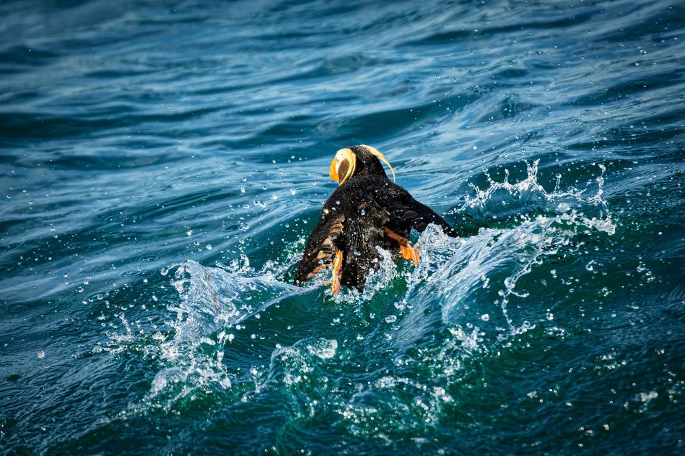 Photograph by Pavel Ivshin