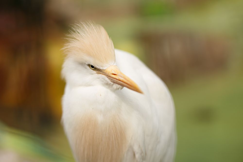 Фотография автора Тамара Дмитриева