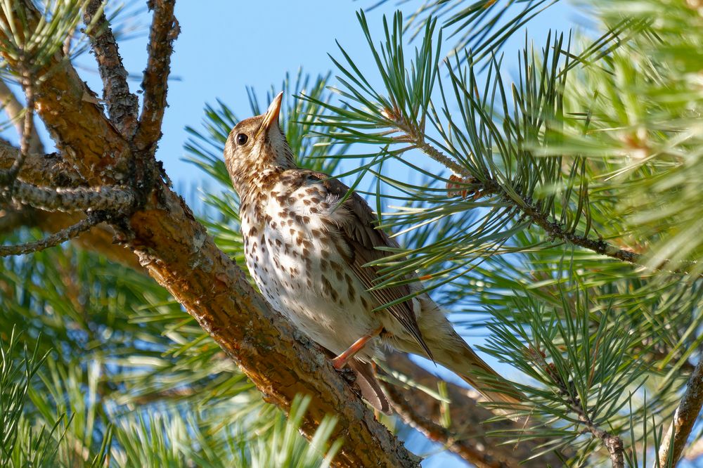 Photograph by Андрей Иванов