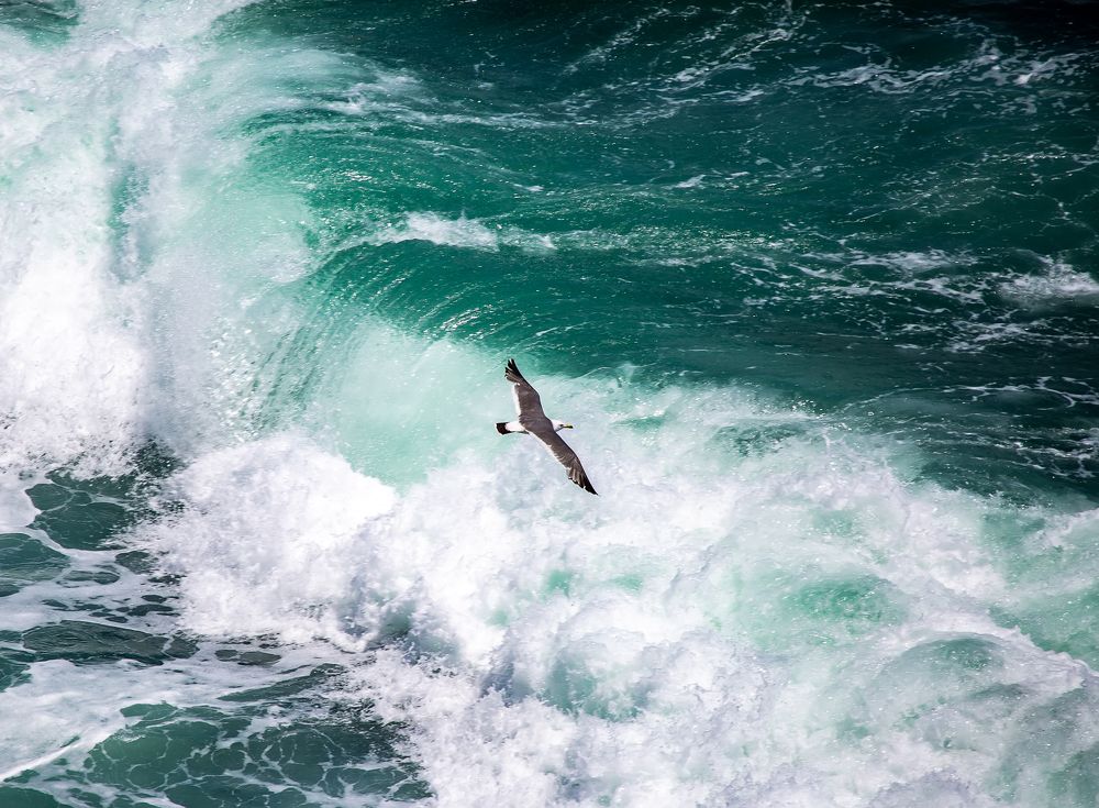 Photograph by Нина Хорева