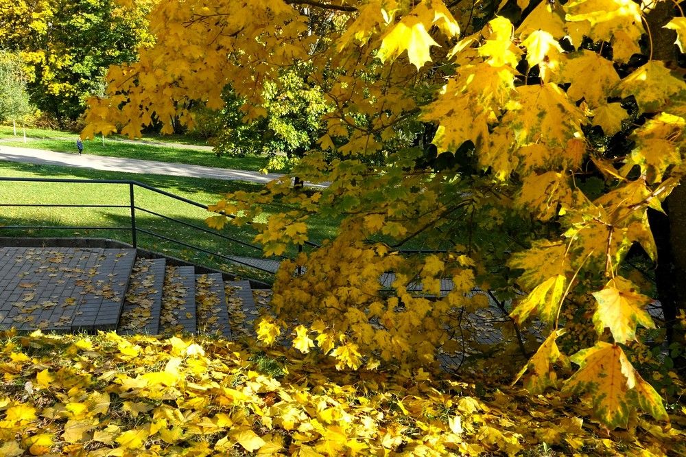 Photograph by jelena konickaja