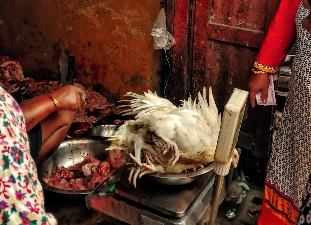 Photograph by Debanjan Dutta