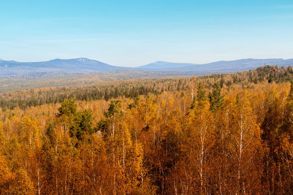 Photograph by Денис Новокрещенов