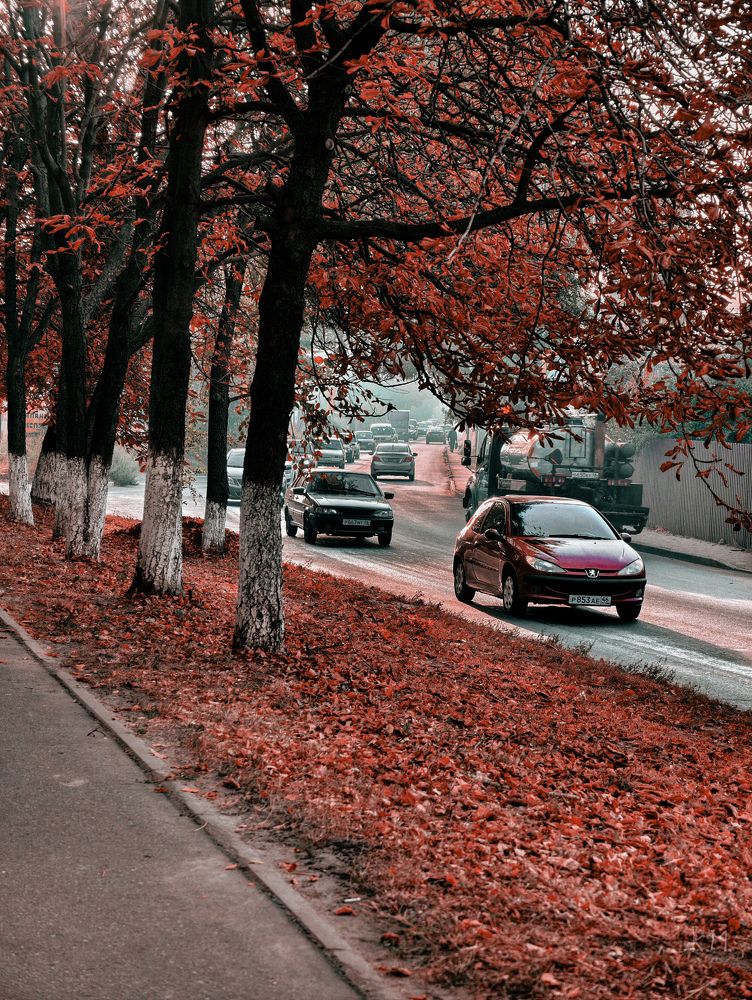 Photograph by Kate Maximenko