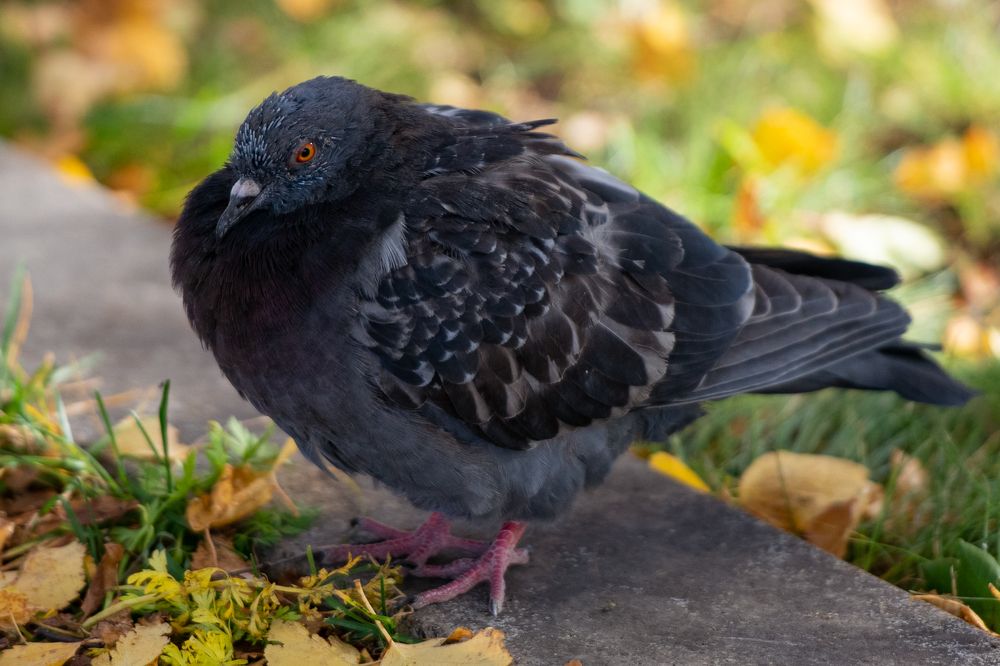 Photograph by Екатерина Абросова