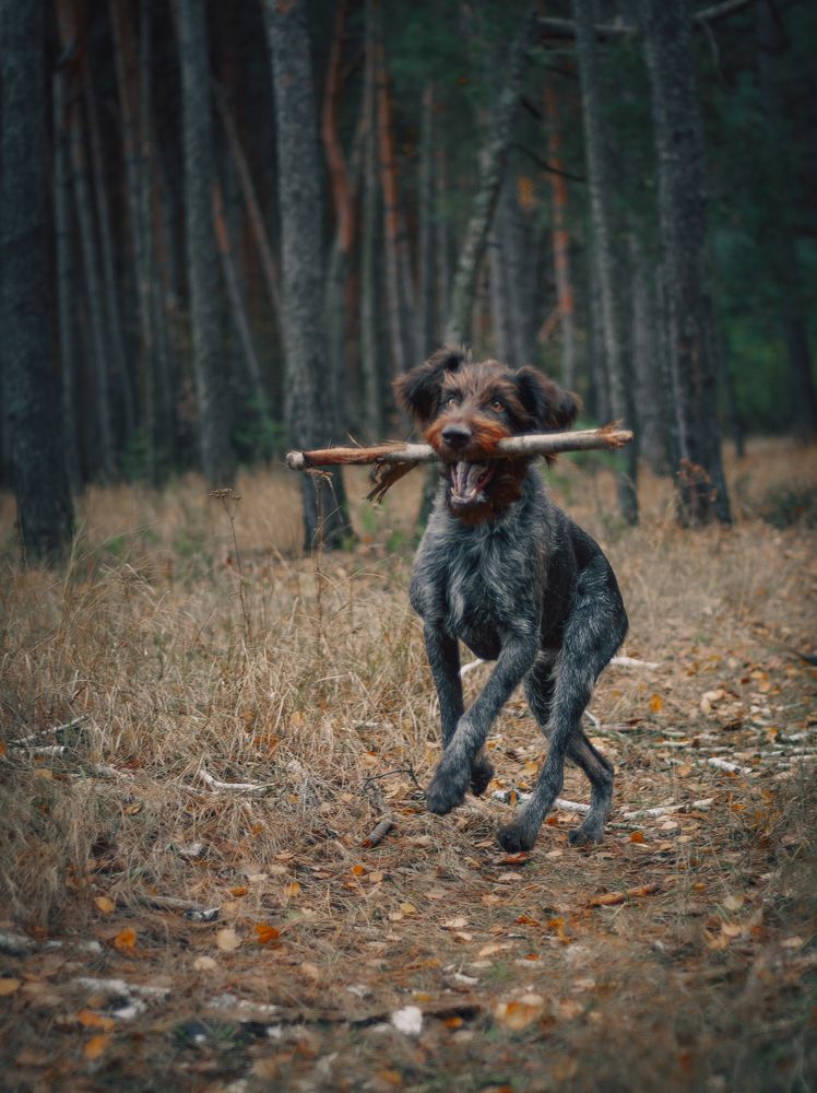Photograph by Ольга Глущенко