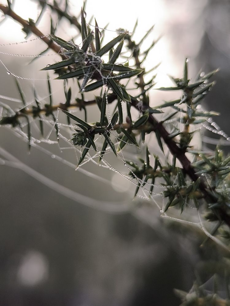 Photograph by КАТРИНА