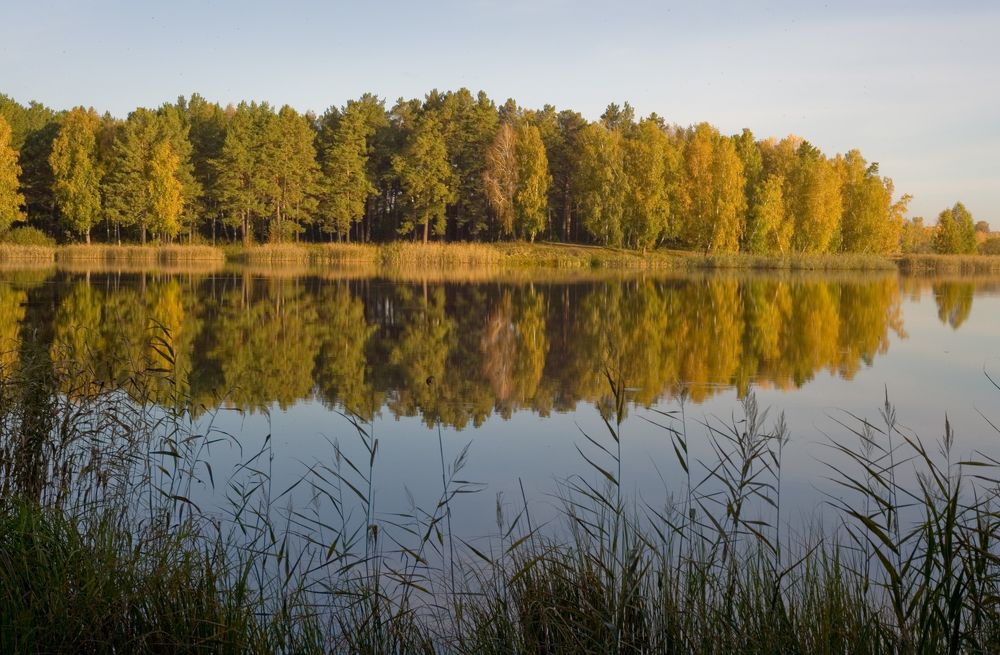 Photograph by Панюшкин Андрей