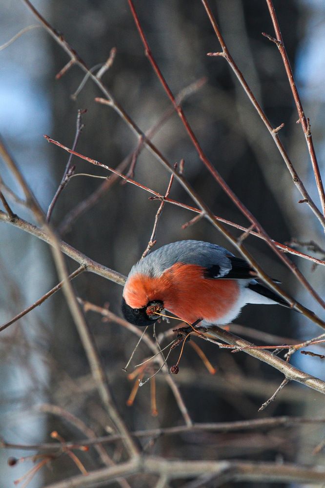 Photograph by Светлана Жилина