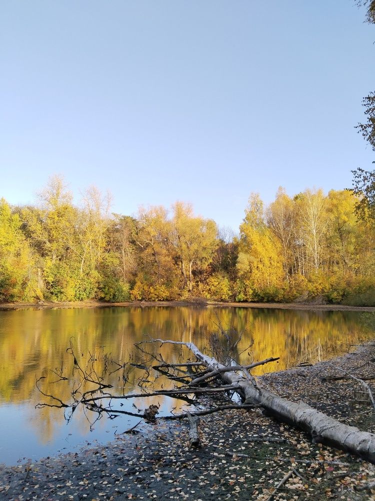 Photograph by Ольга Чернова