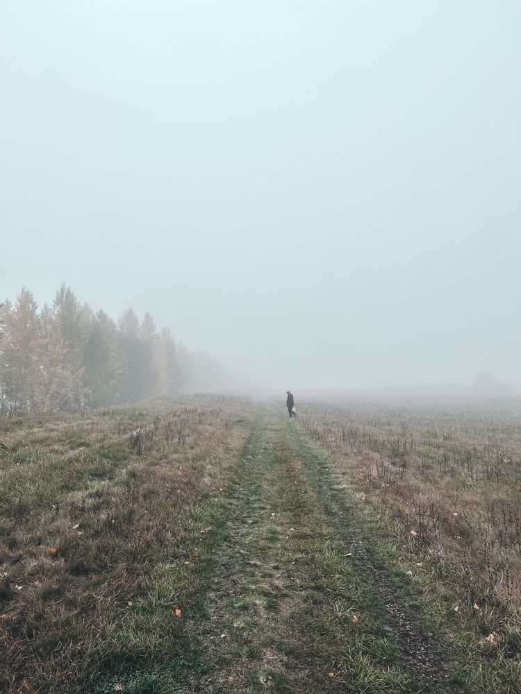 Photo #11169424