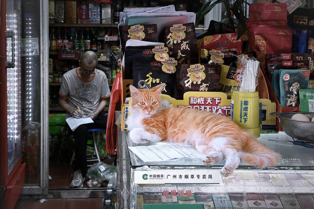 Photograph by Марина Никифорова