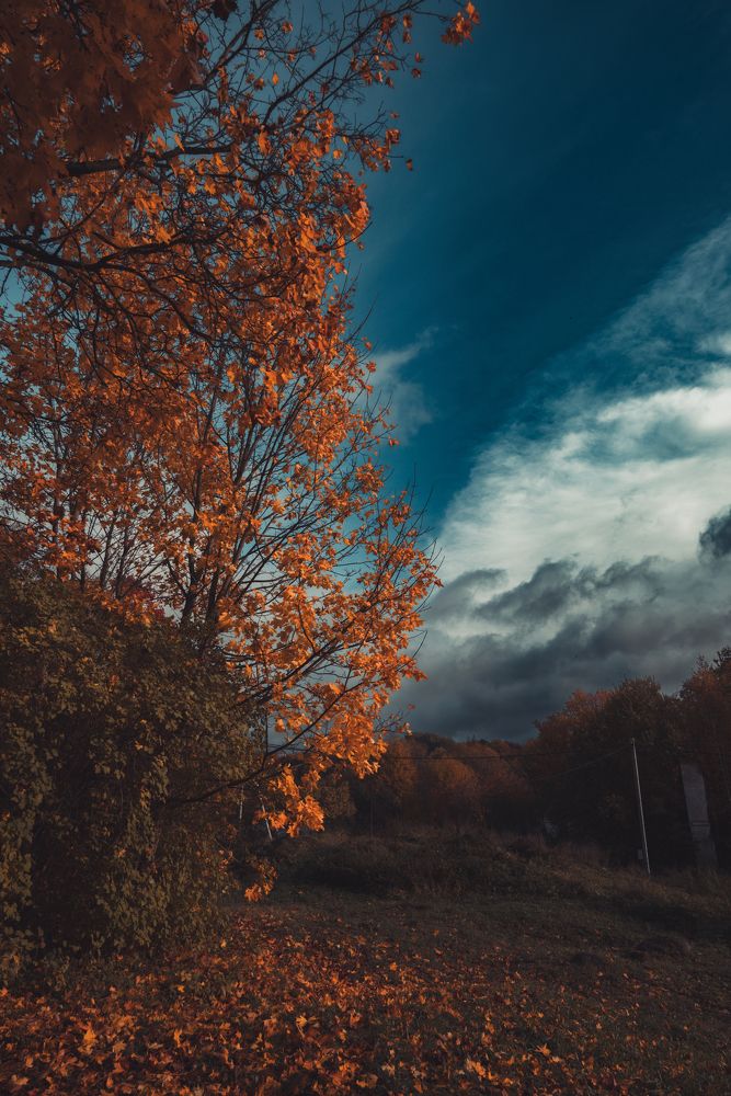 Photograph by Марина Попова