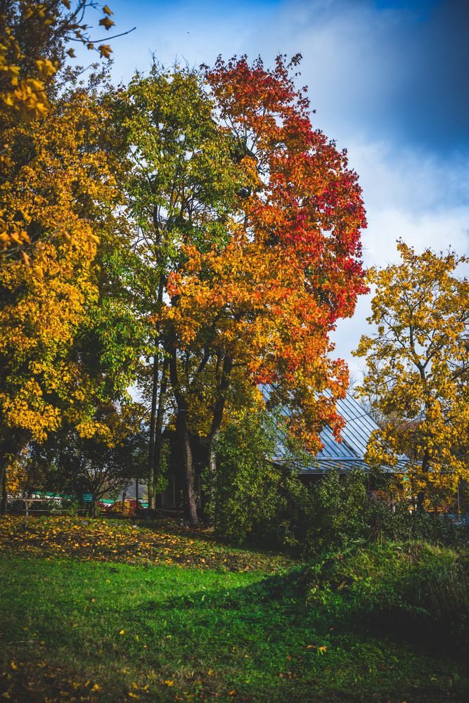 Photograph by Марина Попова