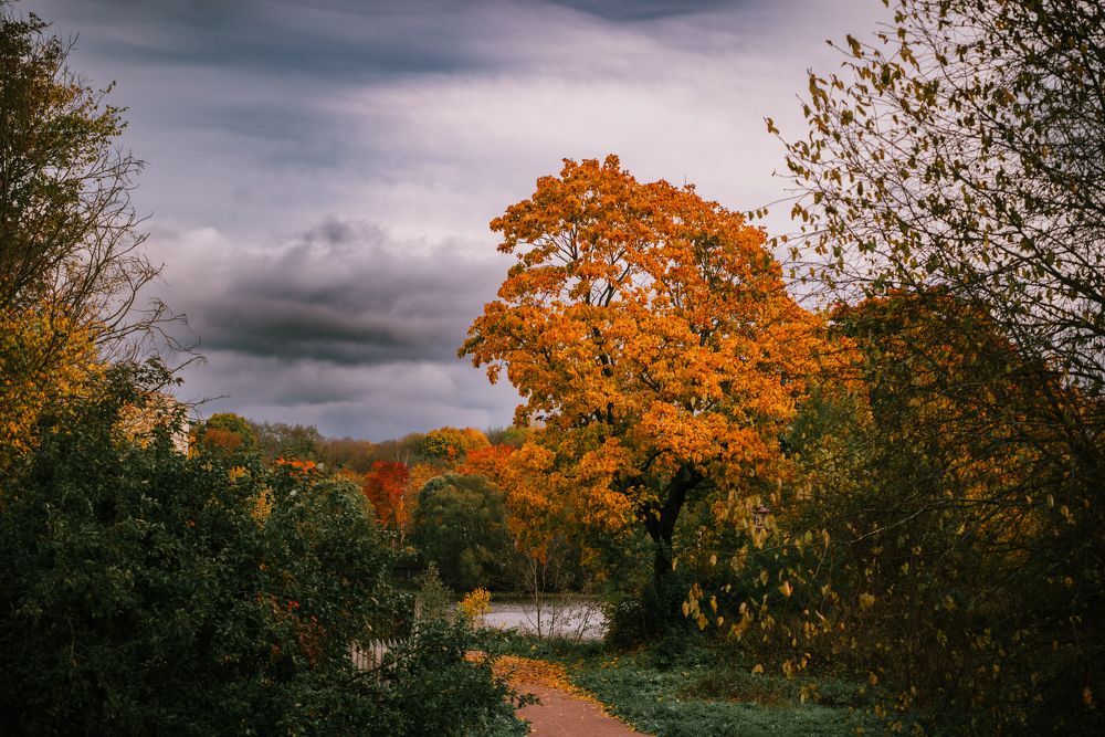 Photograph by Марина Попова