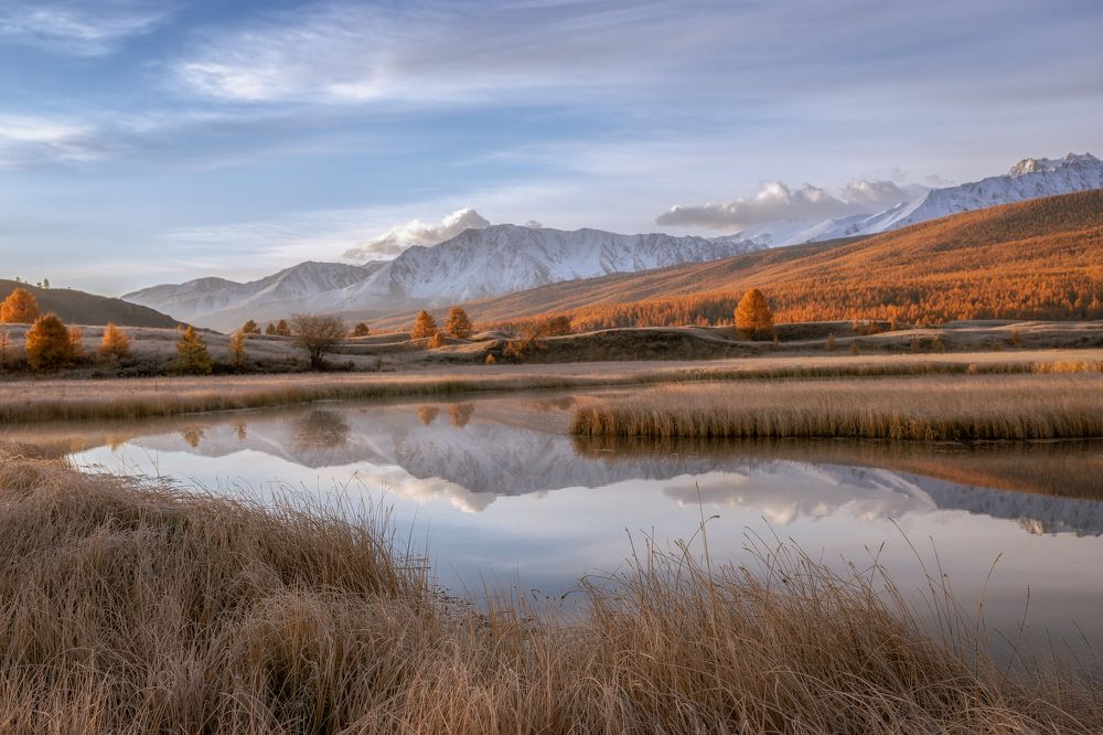 Photograph by Гусева Елена