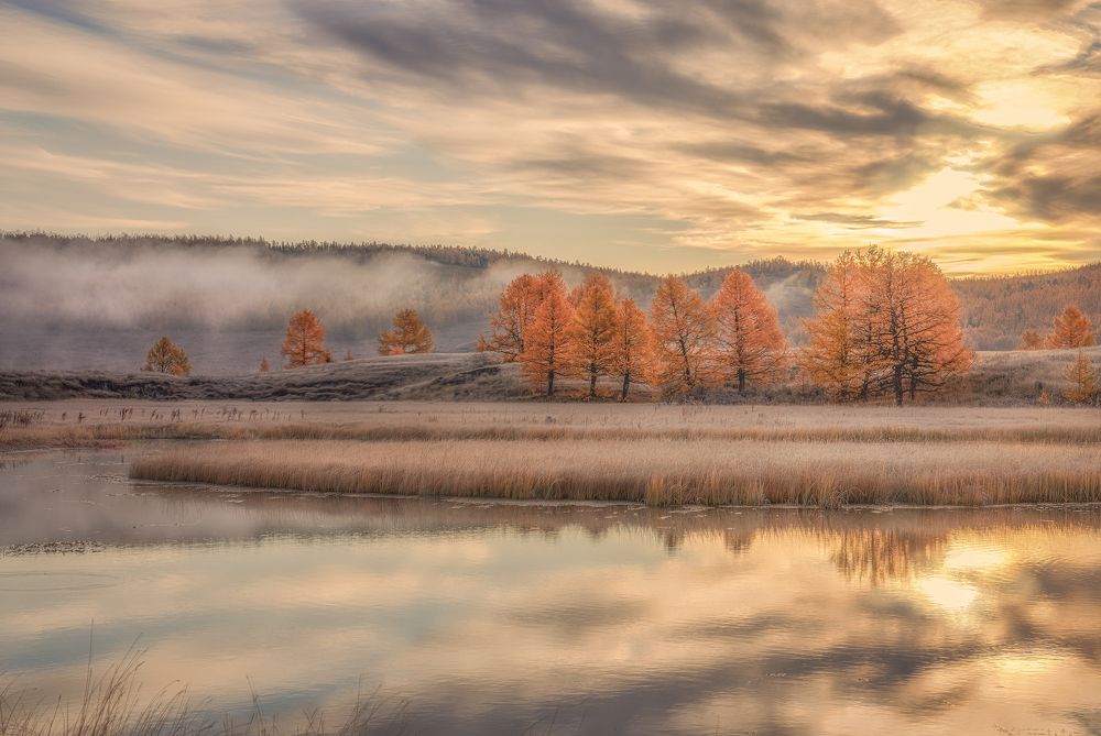 Photograph by Гусева Елена