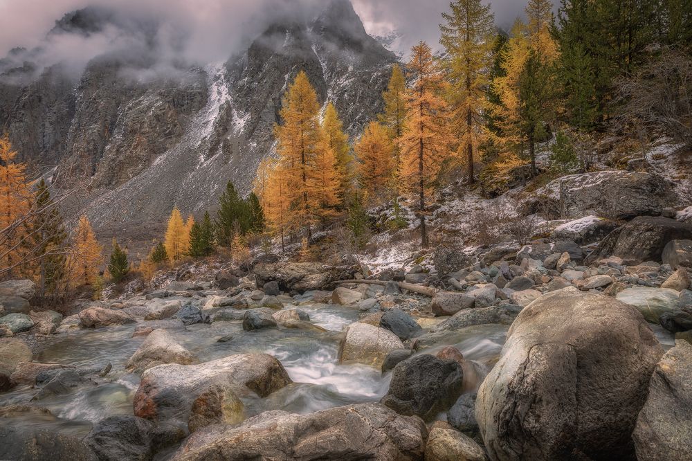 Photograph by Гусева Елена