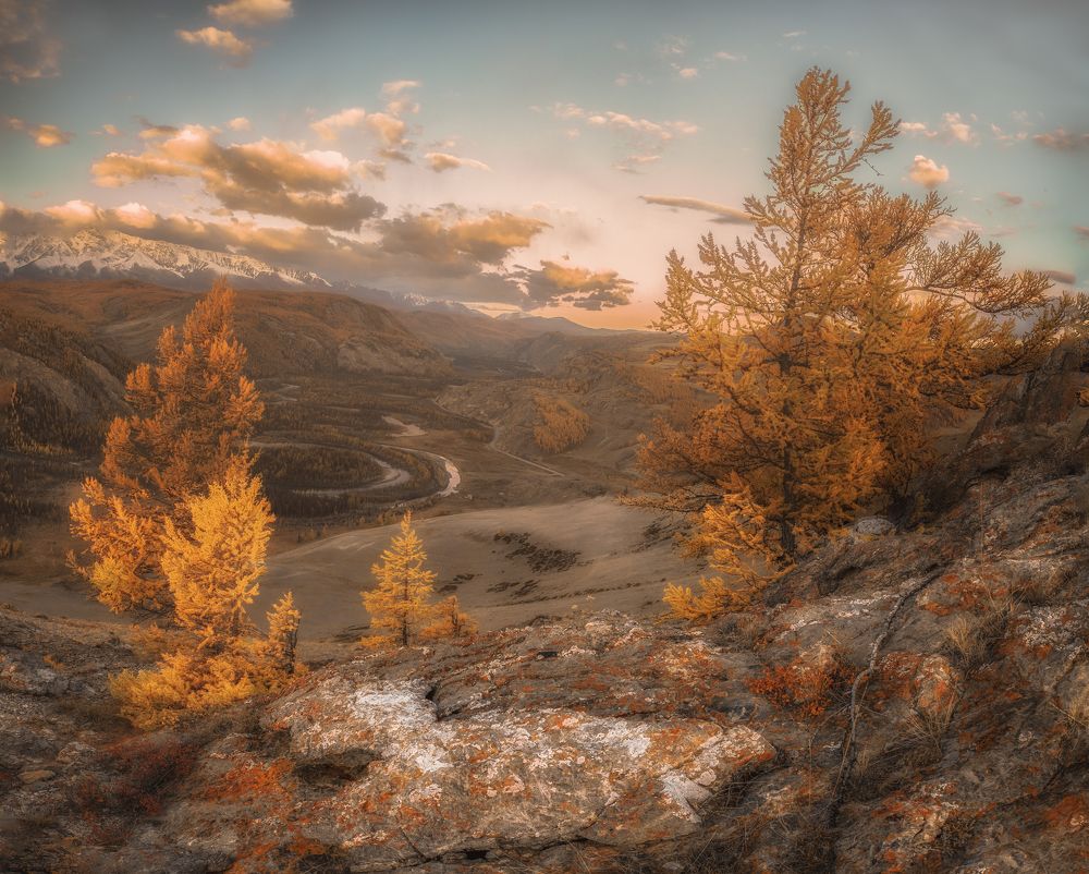 Photograph by Гусева Елена