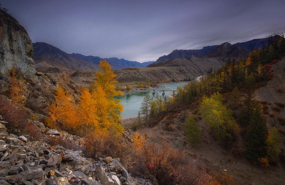 Photograph by Чичкин Валерий